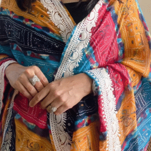 ✨ "CHANDNI" – saree  ✨