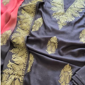Exquisite Kashmiri Party Suit: Dual Tilla Embroidery